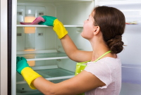 Cara Menghidupkan Kulkas Setelah Dibersihkan