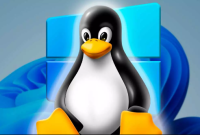 Remokendasi Distro Linux Mirip Windows