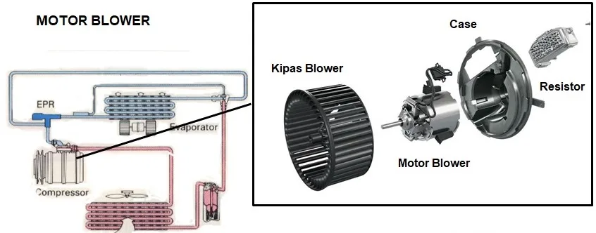 Bagian Bagian Blower dan Fungsinya