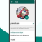 Cara Pasang Video di Profil WhatsApp