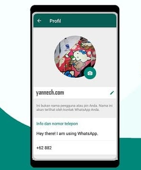 Cara Pasang Video di Profil WhatsApp