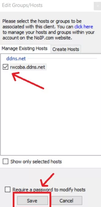 Pengertian Dynamic DNS 