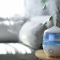 Apa Itu Humidifier