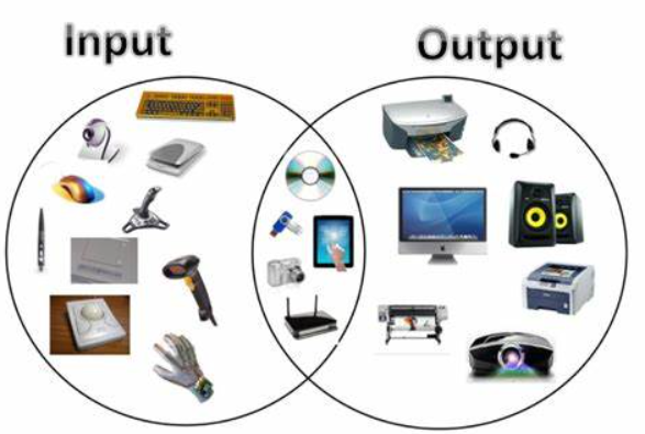 Apa Itu Output dan Input