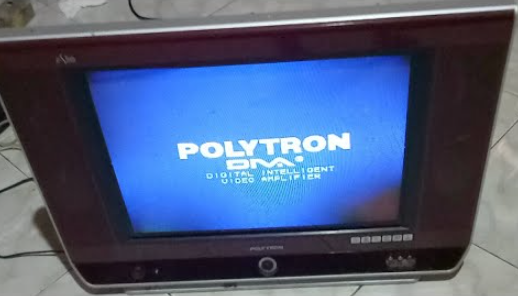 Data Option Bit TV Polytron